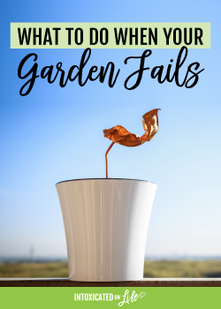 What to do when your garden fails