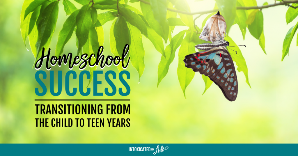 Homeschool Success Transitioning From The Child To Teen Years FB