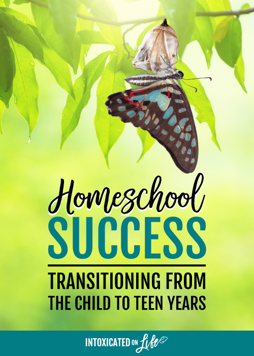 Homeschool Success Transitioning From The Child To Teen Years