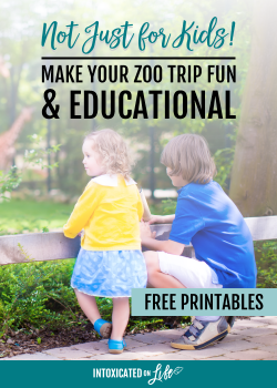 Make your next zoo trip fun and educational