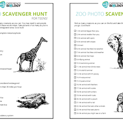 Not Just for Kids! Make Your Zoo Trip Fun and Educational (free printables)