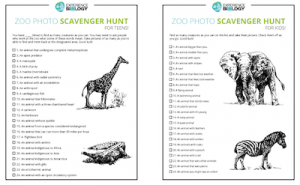 Not Just for Kids! Make Your Zoo Trip Fun and Educational (free printables)