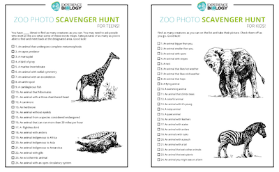 Zoo Photo Scavenger Hunt Preview