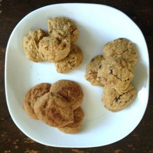 coconut flour & almond butter cookies