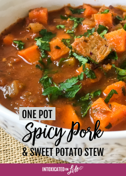 One Pot Spicy Pork and Sweet Potato Stew