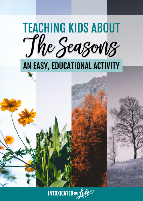 Teaching Kids About The Seasons An Easy Educational Activity