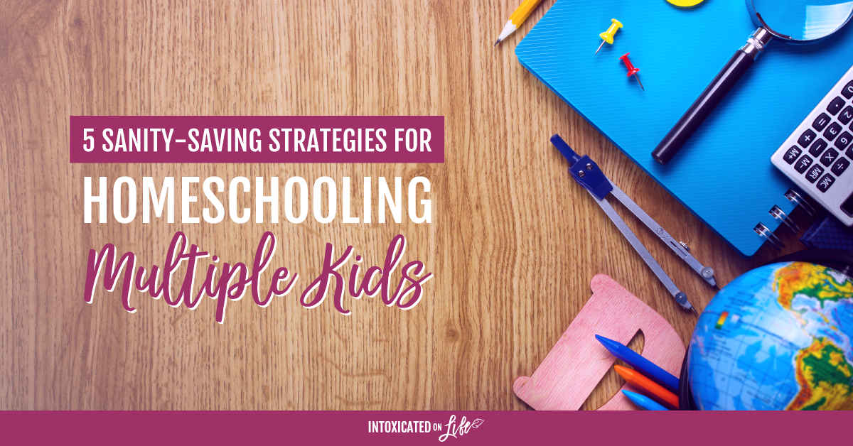5 Sanity Saving Strategies For Homeschooling Multiple Kids