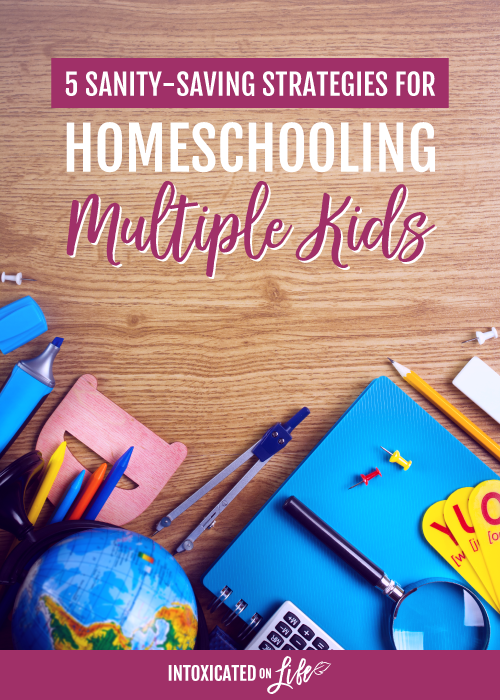 5 Sanity Saving Strategies For Homeschooling Multiple Kids